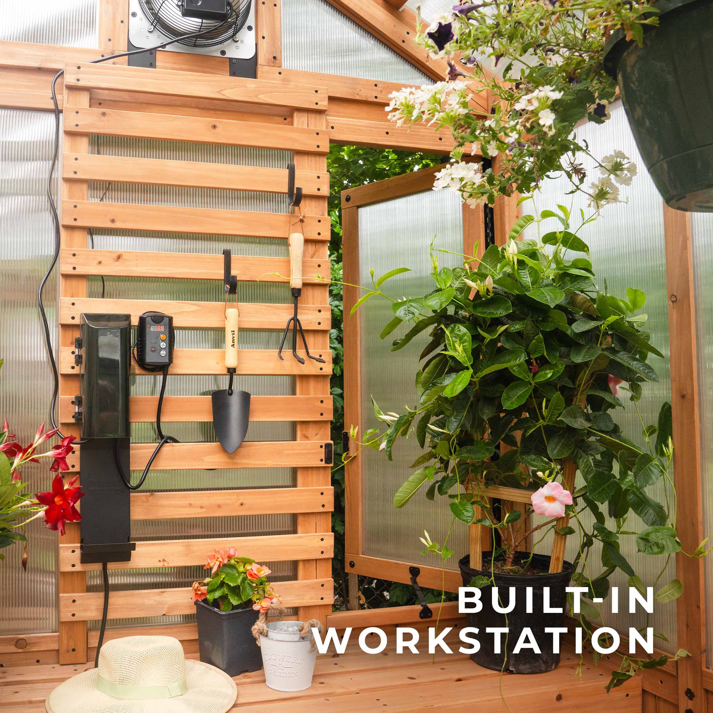 2.9m x 1.8m (9ft x 6ft) Bellerose Greenhouse - Image 7