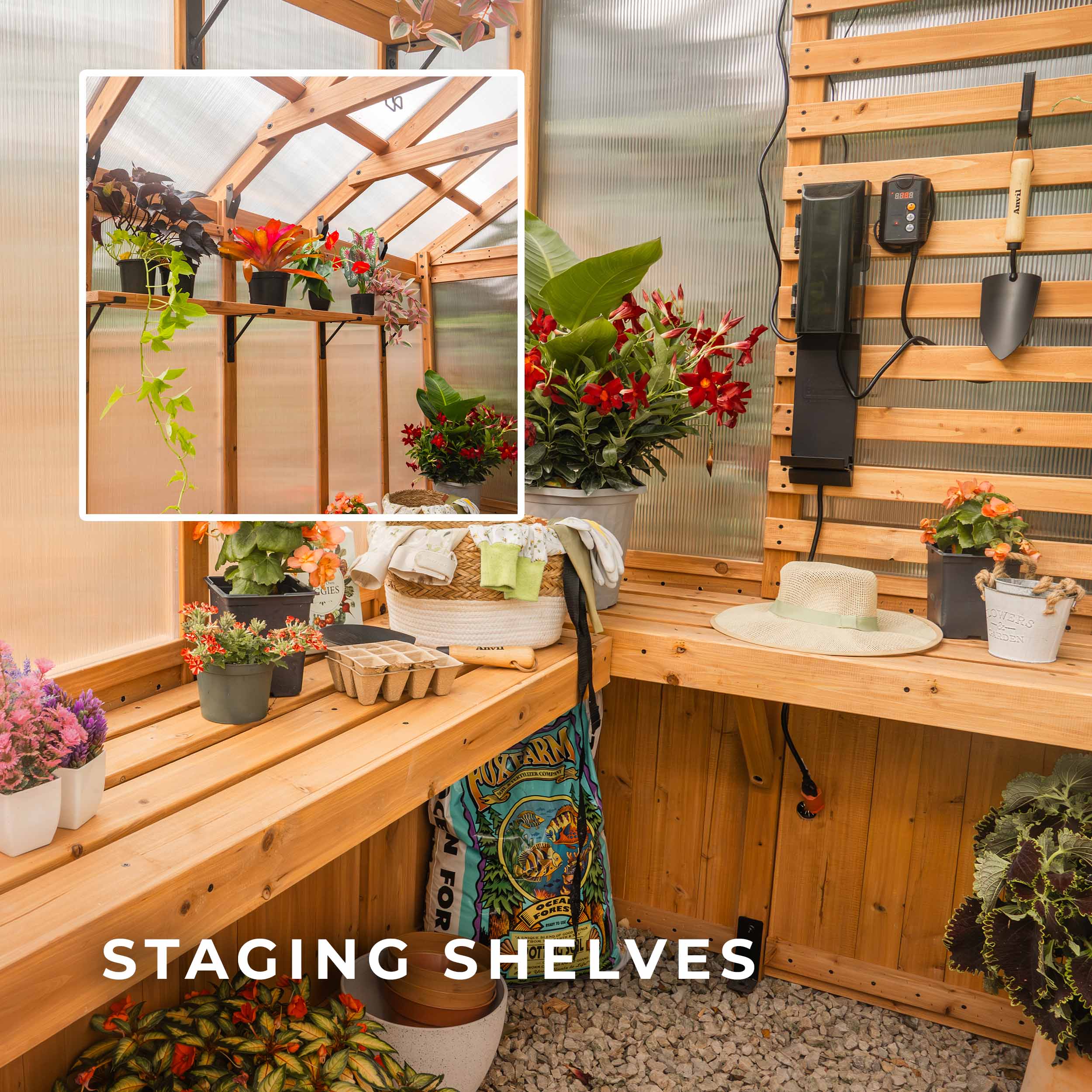 2.9m x 1.8m (9ft x 6ft) Bellerose Greenhouse - Image 8
